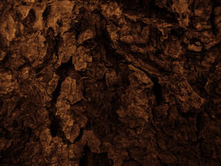 Wooden bark texture. Close Up dark view of Bark on Tree Stump. Old tree, Nature Art
