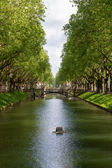 Obraz premium Königsallee in Düsseldorf, Deutschland