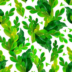 Obraz premium green leaf pattern