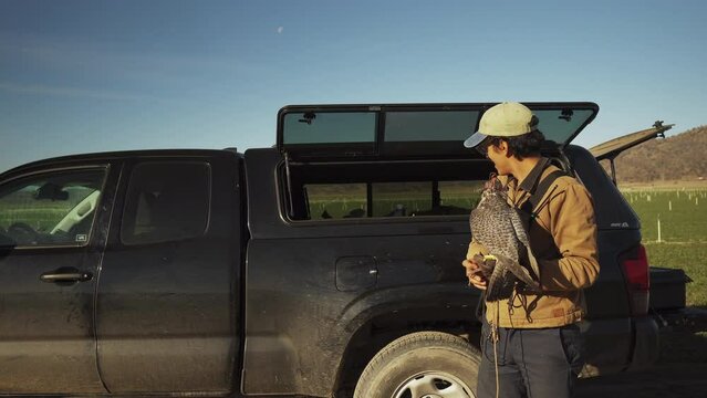 Attaching A Hunting Bird To The Handler's Glove With A Jess And Rope