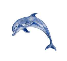 Dark blue dolphin. Underwater world. - 504404448
