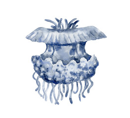 Blue watercolor jellyfish. Underwater world.