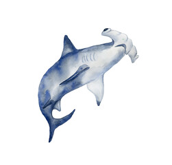 Hammerhead watercolor shark. Underwater world. - 504404804