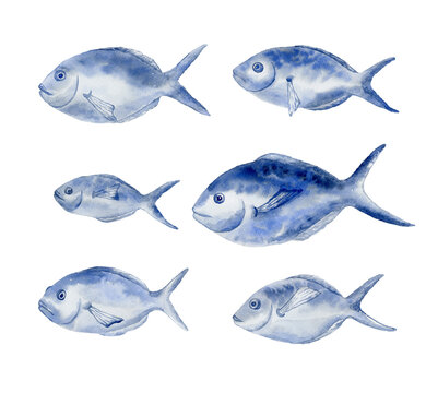 Set of blue fishes. Underwater world.