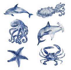 Set of sea animals. Underwater world. - 504405401