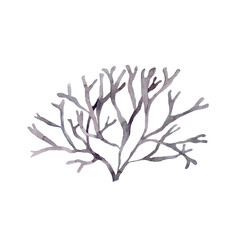 Watercolor Seaweed on white background. Underwater world.