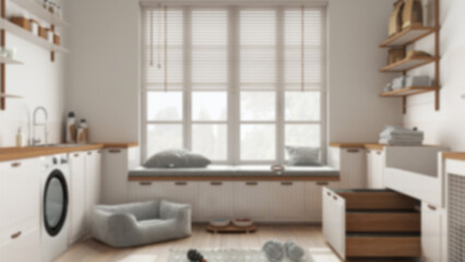 Blur background, space devoted to pet, scandinavian laundry room, mudroom with window and sofa, dog bed, dog bath shower with ladder, accessories, shelves with food. Interior design
