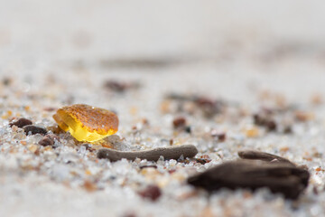 Beautiful piece of shining amber among the grains of sand and little pieces of wood on a sandy beach, amber background, close up 