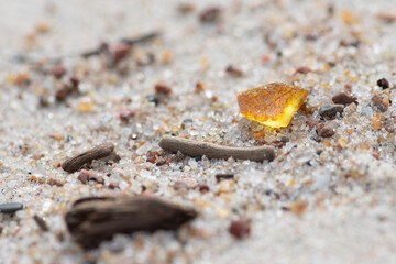 Beautiful piece of shining amber among the grains of sand and little pieces of wood on a sandy beach, amber background, close up 