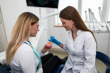 The dentist demonstrates a plastic model of the jaw. A woman dentist shows a patient a visual model of human teeth.