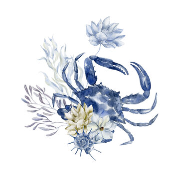 recommend clip art: Blue crab with seaweeds. Underwater world.