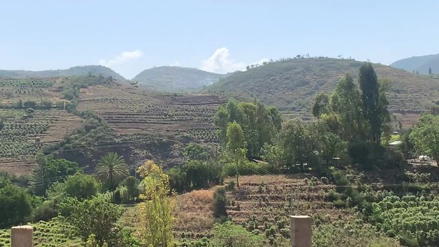 Hills and mountains of Harar where they grew Chat plants