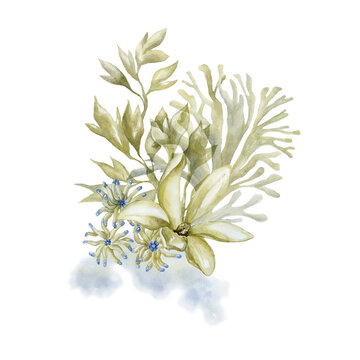 recommend clip art: Flower, sea anemone and seaweeds.