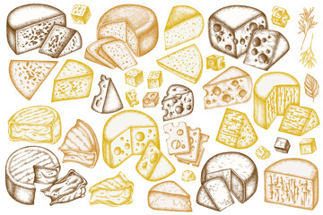 Cheese hand drawn vector illustrations collection. Stylized brie, gouda cheese, roquefort, etc.