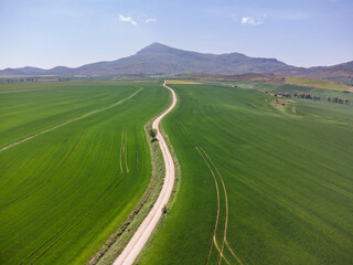 Cereal fields in spring. Izagaondoa, Navarre