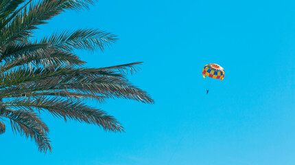 Colorful parachute and palm tree in front of clear blue sky in summer holiday. Summertime background with copy space. Summer joy with parasailing.