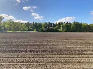 plowed field and sky