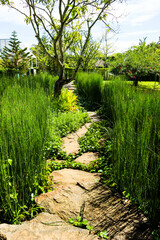 Stone walkway in the green garden.