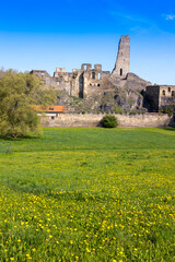 ruins of gothic castle Okor, Central Bohemia region, Czech republic