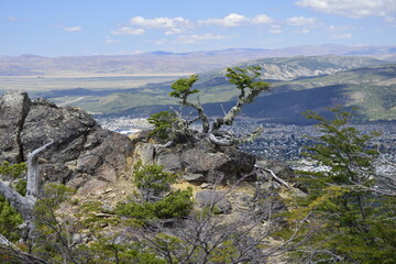 View of the city and the surrounding area from a high point in Arrayanes National Park, San Carlos...