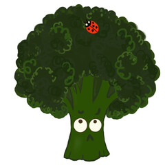 Broccoli Look Up