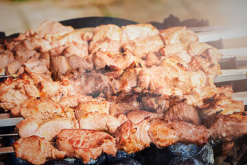 Cooking shish kebab on metal skewer on charcoal. Marinated pork shish kebab. BBQ meat. Barbecue party. Close up view with shallow DOF.