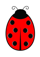 ladybug vector illustration