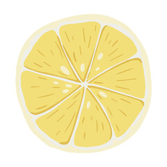 Slice of Fresh Yellow Lemon. Fruit food illustration