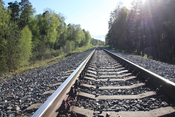 Fototapeta premium railroad in the wood in sunny spring day with young green leaves, grass, bright blue sky