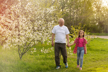 Fototapeta premium Adorable cute girl and grandfather walk in park.