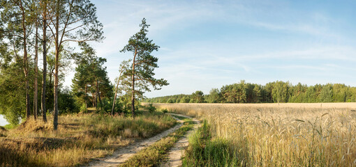 The nature of Belarus - a calm summer landscape on the banks of the Berezina River
