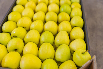 yellow apples packed in cardboard boxes close-up