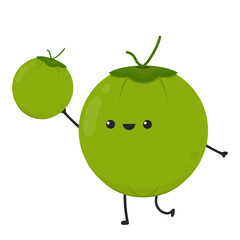 Green coconut. Coconut character design. Coconut vector. Coconut on white background.