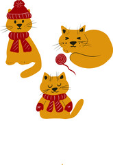 set of cute winter cats, cute cats