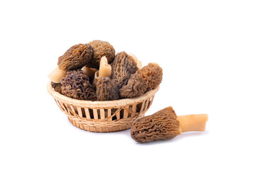 Morel mushrooms in a wicker basket and one mushroom lying next to the basket, isolate on a white background