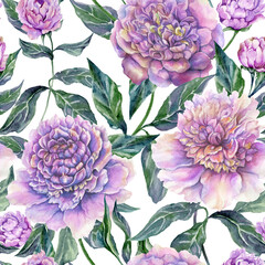 Beautiful purple peony flowers with green leaves on white background. Seamless floral pattern. Watercolor painting. Hand drawn illustration. - 504429659