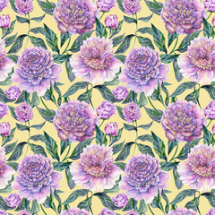 Beautiful purple peony flowers with green leaves on yellow background. Seamless floral pattern. Watercolor painting. Hand drawn illustration. - 504429663