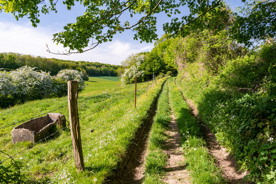 Chemin de randonn&eacute;e dans les sous-bois en pays de Bray en Normandie