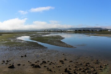 Beauty of Knysna - part of the town name Thesen Islands surrounded by water during high tide, the water reflecting the blue sky and white clouds