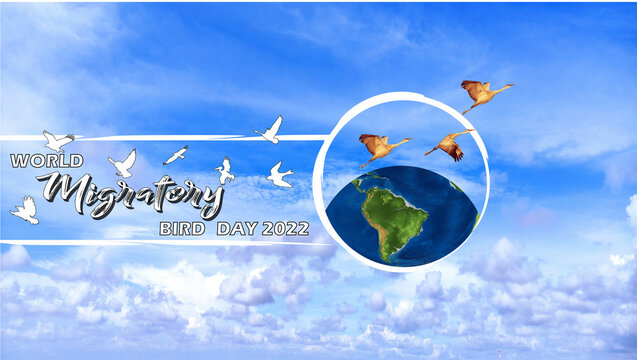 World Migratory Bird Day 2022 Concept (WMBD)
