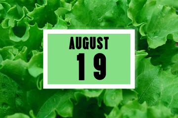calendar date oncalendar date on the background of green lettuce leaves. August 19 is the...