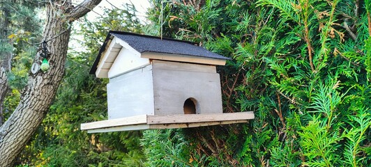 bird house in the forest Domek dla ptaków  © woodyd