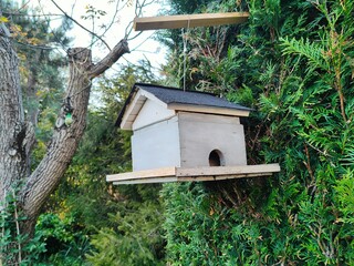 wooden bird house Domek dla ptaków 2 © woodyd