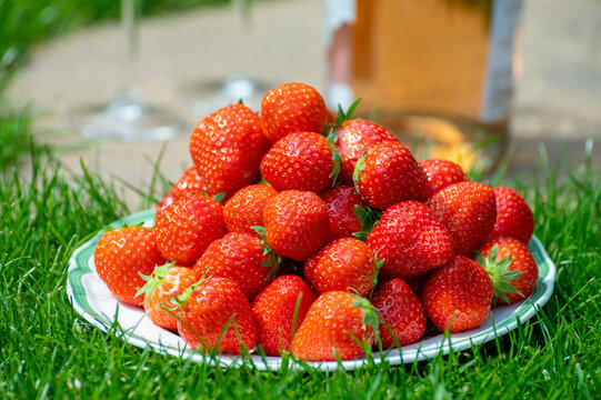 Fresh ripe red sweet organic strawberry on white board served outdoor on green grass lawn