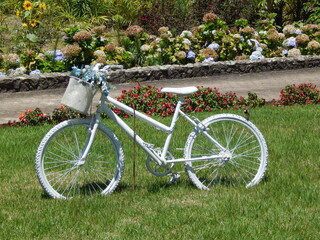 Bicicleta Jardim
