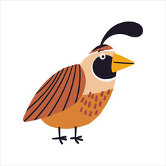 Cute little quail vector illustration. Funny hand drawn bird character. Happy animal isolated on white background. Childish t shirt print design