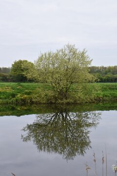 lake in the park