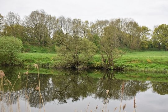 lake in the forest