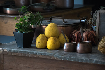 still life with fruits