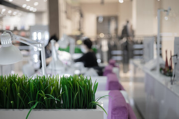 Green house plants on a blurred background of a spacious nail salon. selective focus
